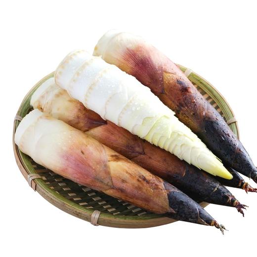 【BF】春笋 新鲜农家蔬菜 脆嫩带壳500g（提货时间：4.15-4.21） 商品图0