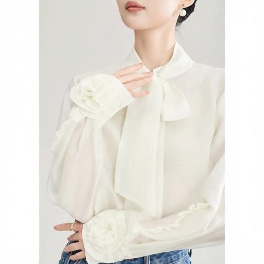 优雅法式浪漫花朵装饰通勤飘带领天丝衬衫WL2602208 商品图0
