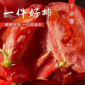 【新疆直邮·普罗旺斯沙瓤西红柿】 一口回到20年前的味道  五斤装