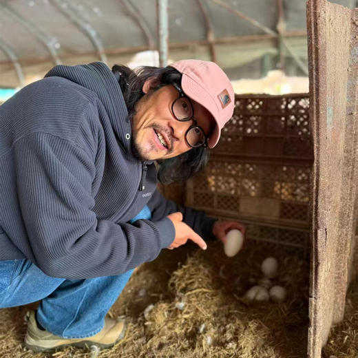 散养鹅蛋丨吃粮食/谷物长大的 蛋清浓稠 蛋黄紧致 腥味小，个头大小不一，介意慎拍‼️现产现发，不接急单！⭐️顺丰快递 商品图1