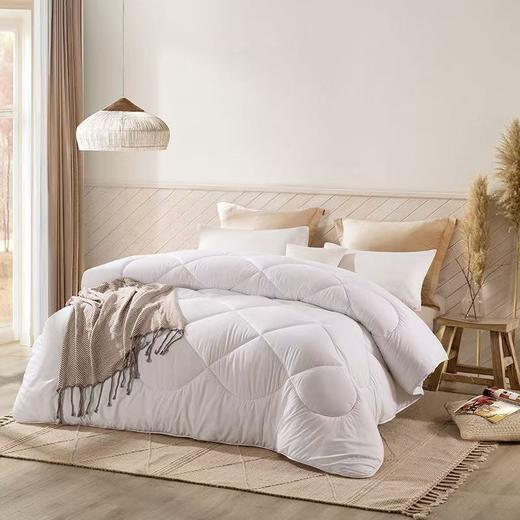 LOVO 暖阳七孔防螨纤维冬被 商品图0