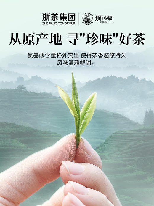 【2026年新茶预售】狮峰牌丨安吉白茶 狮青礼盒 特级 100g，新茶预计4月10日发货 商品图5