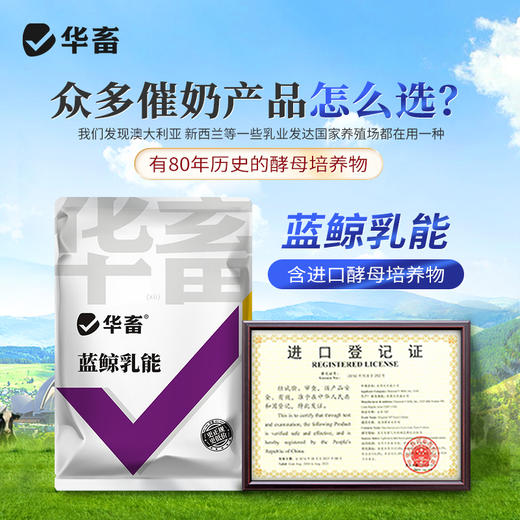 【社群专享】华畜 蓝鲸乳能 含进口酵母培养物 吃的多奶水好吸收好 商品图5