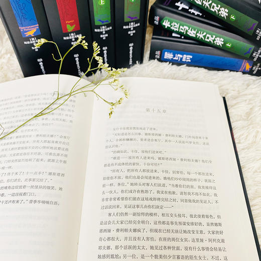 一俄尺的理想地：陀思妥耶夫斯基罪与罚三部曲（4册函套） 商品图6