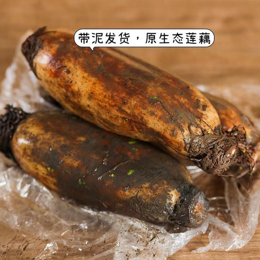 生态红花炖汤藕 5斤/10斤装 20号发货 商品图0