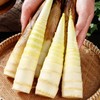 【BF】春笋 新鲜农家蔬菜 脆嫩带壳500g（提货时间：4.15-4.21） 商品缩略图1
