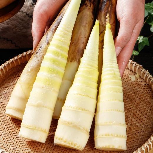 【BF】春笋 新鲜农家蔬菜 脆嫩带壳500g（提货时间：4.15-4.21） 商品图1