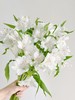 【超美水仙百合】白色水仙百合5支+粉色水仙百合5支+橙色水仙百合5支+红色水仙百合5支/份 商品缩略图5