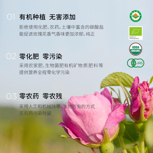 【同行精选】有机玫瑰花冠茶20g/22g  茶汤明亮清透  花香浓郁 自然紫红 商品图7