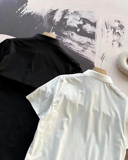 F031626新款刺绣标户外运动健身透气速干科技面料户外短袖T恤polo衫 商品图4