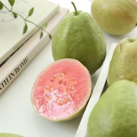 贝壳 冰激淋芭乐  双芭乐口味  奶油芭乐果肉乳白细腻 无粗籽 ， 草莓芭乐  甜中带点鲜酸 比草莓清爽