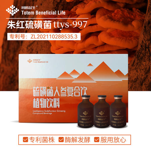 【图腾】硫磺菌人参复合饮 750ml（50ml*15瓶） 商品图0