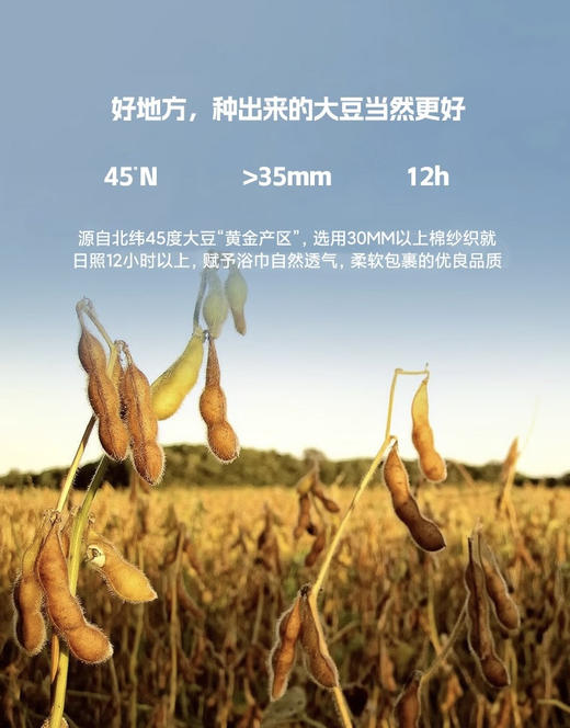 蓬松抑菌！A类全棉原棉大豆纤维被 春秋被芯加厚保暖冬被四季通用 商品图3