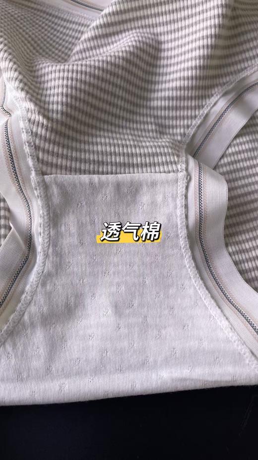 （特价内裤不退换）限时福利内裤5条59元90-120斤可穿高弹力 商品图7