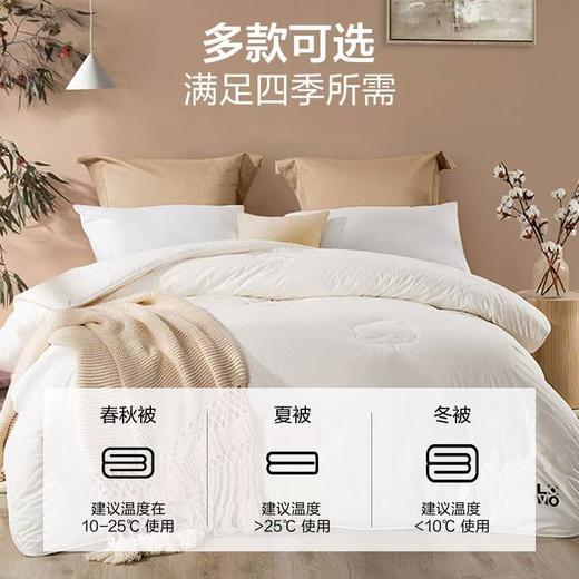 LOVO 新疆棉棉花冬被 升级版 商品图2