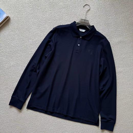 F031610春季新款休闲商务百搭通勤纯棉翻领长袖POLO上衣 商品图7