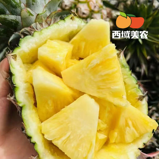 西域美农海南金钻凤梨 树上熟 削皮即吃 绿色认证 商品图7