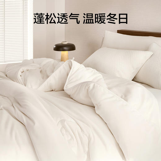 LOVO乐蜗 新疆棉棉花加厚冬被 升级版 商品图3