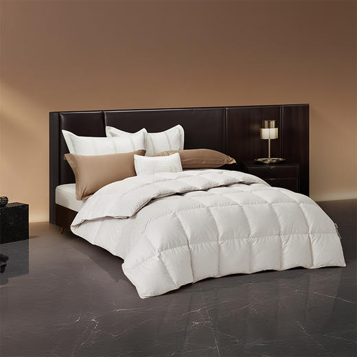 罗莱 TG 超柔A类雪域鹅绒冬被 鎏金 商品图1