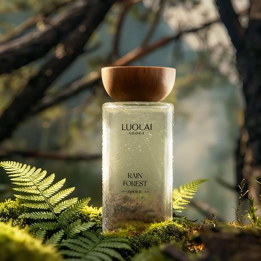 罗莱悦礼-雨林蕉影无火香氛（野橘溯光） 商品图0