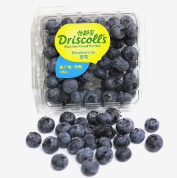 蓝莓（125g/盒） 商品图1
