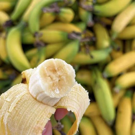 空运！海南纯树熟佳丽超甜香蕉【净重约3斤】 商品图4