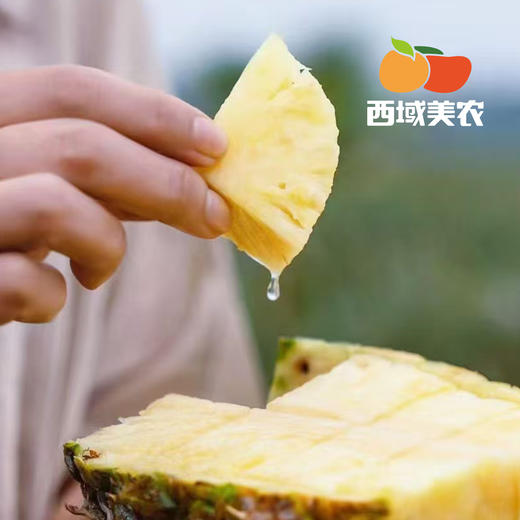 西域美农海南金钻凤梨 树上熟 削皮即吃 绿色认证 商品图9