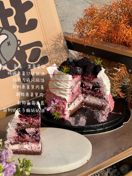 桑野的春天 商品图2