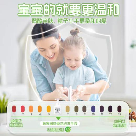 蔬果园抑菌洗手液（乌木玫瑰）500ml泡泡洗手液 商品图2