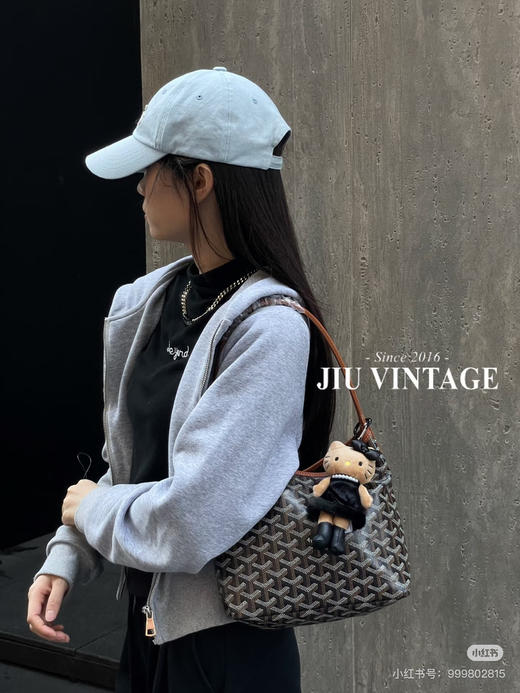 戈雅hobo迷你 商品图2