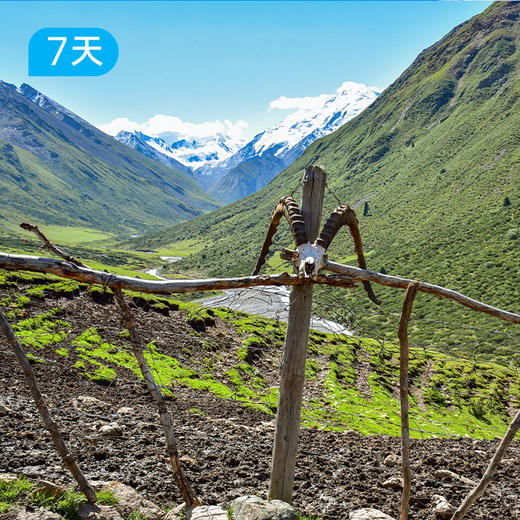 南天山北-精华线｜ 新疆顶级雪山冰川徒步路线 7日 商品图10