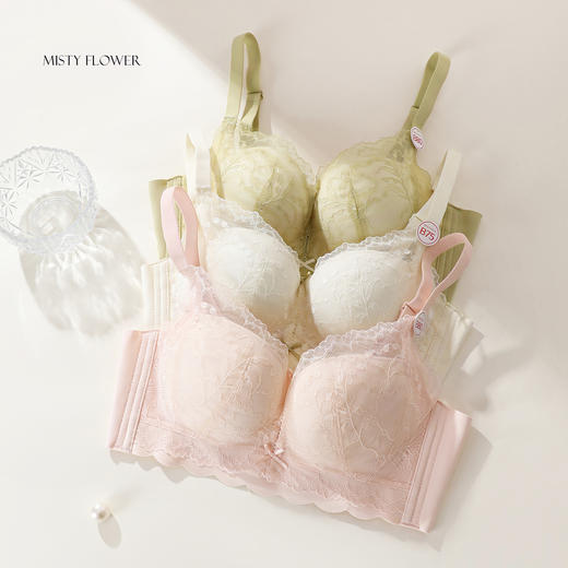 【商场同款】熳洁儿 26年新品小胸聚拢文胸法式蕾丝中薄杯AB通杯26201540 商品图4