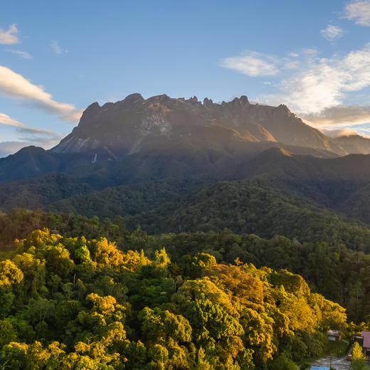 新村开业早鸟！【马来西亚沙巴ClubMed度假村】私享17公顷雨林秘境与4公里私密海岸，邂逅《国家地理》十大最美落日，在沙巴奢享自然与高端度假的双重礼遇~ 商品图4