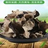 神农架血木耳深山天然食用农产品250g*8袋 商品缩略图2
