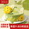 白羊座 ∙ 向阳花地 ∙ 抹茶鲜果韩裱蛋糕，可选1/1.5/2.5/3.5/6磅 | 36CAKE 商品缩略图0