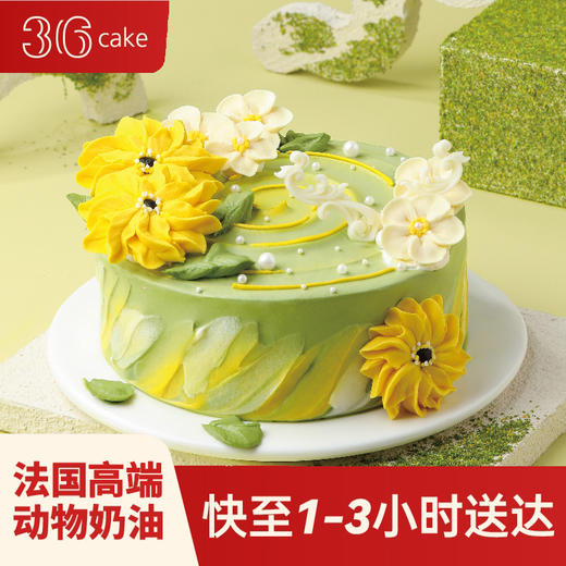 白羊座 ∙ 向阳花地 ∙ 抹茶鲜果韩裱蛋糕，可选1/1.5/2.5/3.5/6磅 | 36CAKE 商品图0