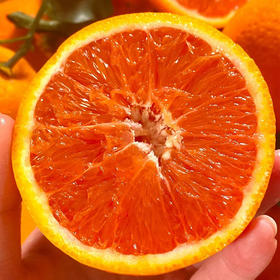 中华红橙，一不小心就会掐出一手的汁水【G】