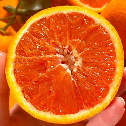 中华红橙，一不小心就会掐出一手的汁水【G】 商品图0