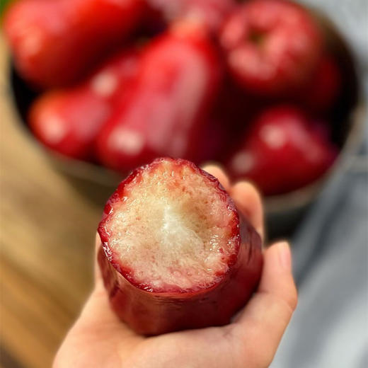 高山莲雾（黑金刚）/香水芭比莲雾丨高山生态种植，高熟度采摘，清甜多汁，风味浓郁⭐️顺丰空运 商品图7