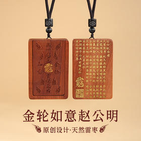 国风新款雷击木赵公明宝诰吊坠枣木项链平安滑盖配饰品