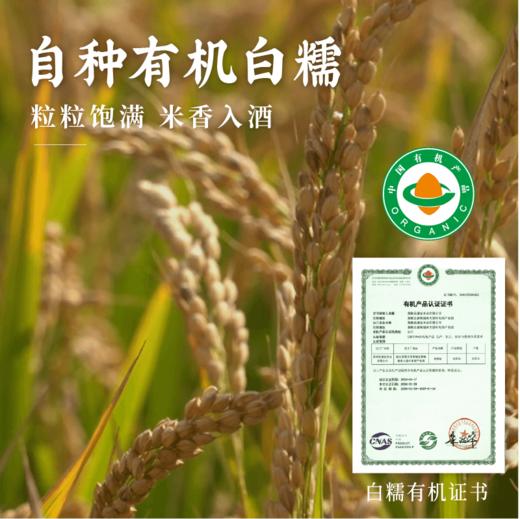 谦益红曲黄酒100/500ml 生态纯酿 双重发酵 甘甜醇厚适口  黑芝麻丸好搭档 产后月子特殊期 商品图4