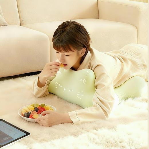 罗莱悦礼 趴趴猫玩睡枕 商品图3