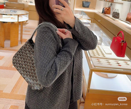 戈雅hobo迷你 商品图1