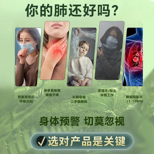 澳大利亚MeKollagen美柯柆麦卢卡蜂蜜桉叶饮 商品图5