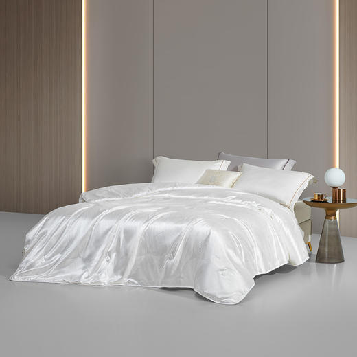 罗莱 XS  辽安青丝·丝悦大提花抗菌蚕丝四季被 商品图2