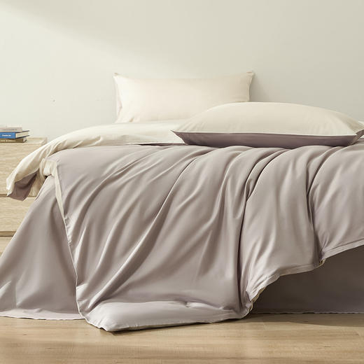 恐龙 简域 全棉60S四件套 新品上市 商品图5