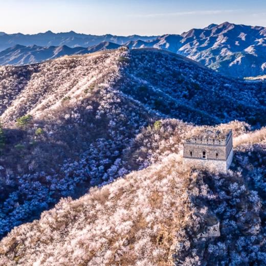 清明1天【鹞子峪桃花68元】春花·水·长城の鹞子峪-撞道口长城徒步10公里<初级> 商品图2