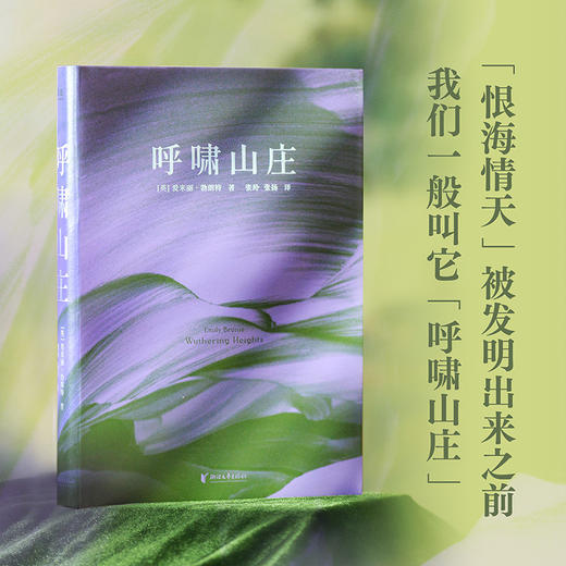 呼啸山庄 刷边版 《纽约时报》世界十大名著，毛姆、伍尔夫、加缪、莫言盛赞 商品图1