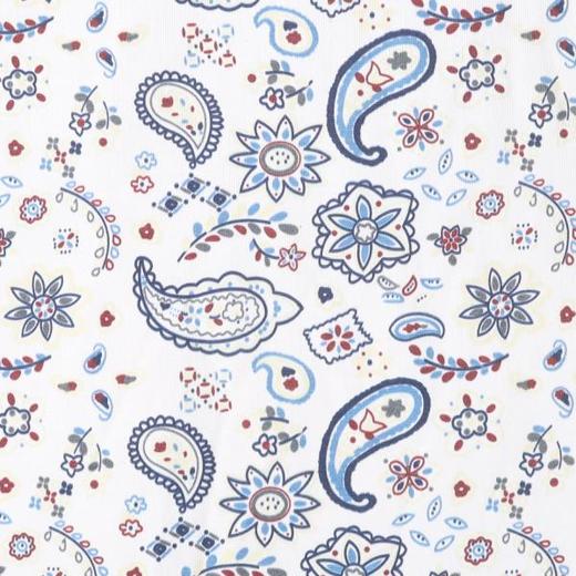 26T149SDSA男装2026新款高贵轻奢时尚简约满印腰果花卉圆领短袖T恤百搭 商品图2