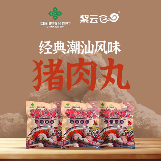 【潮汕帮扶】紫云仓丨猪肉丸 250g*2袋 商品图0